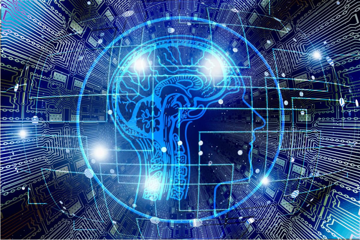 DIBS Research Incubator Awards fund innovative, interdisciplinary science