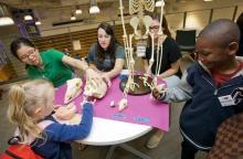 Guests at 2016 Brain Awareness Week at Duke participate in DIBS Discovery Day.