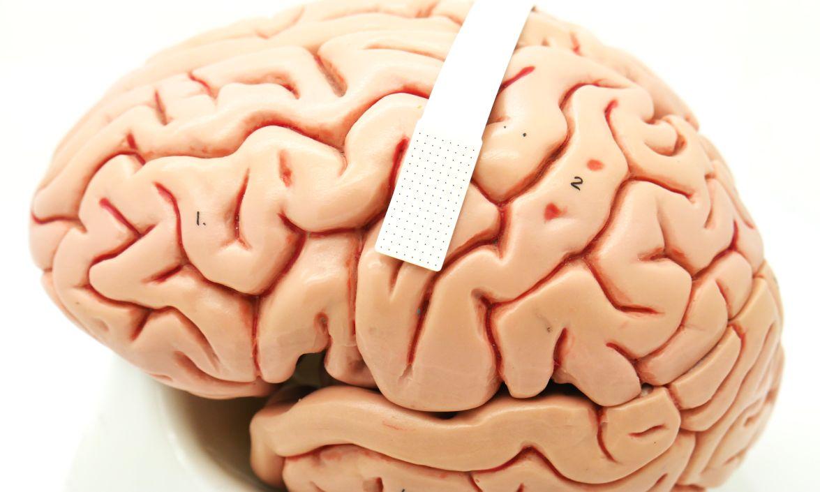 Brain with device on it
