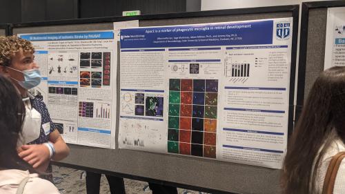 Triangle SFN 2022 - Dillon poster presentation