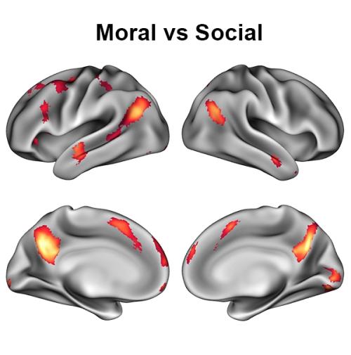 Making moral judgements activated different regions of the brain than merely evaluating social norms.